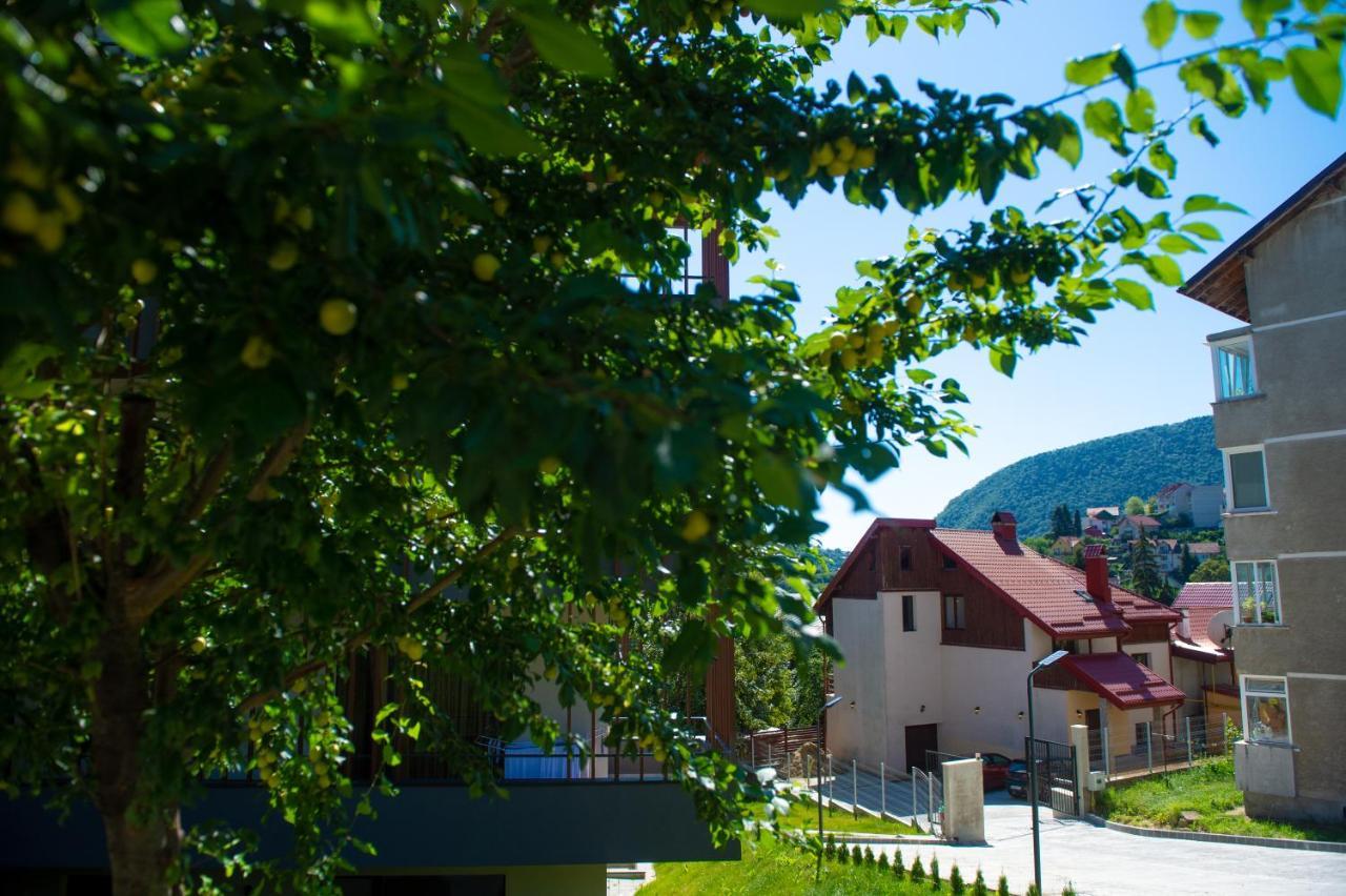 Snug Apartments - Private Parking Near Downtown Brasov Exterior photo