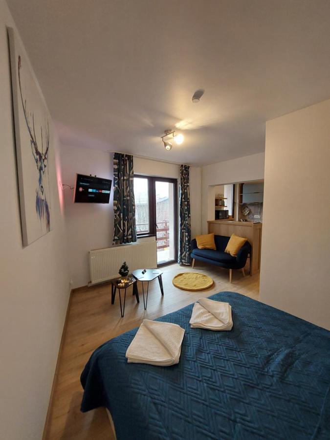 Snug Apartments - Private Parking Near Downtown Brasov Exterior photo
